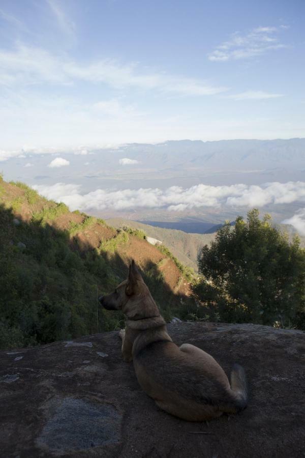 Willa Mambo View Point Ndungu Zewnętrze zdjęcie