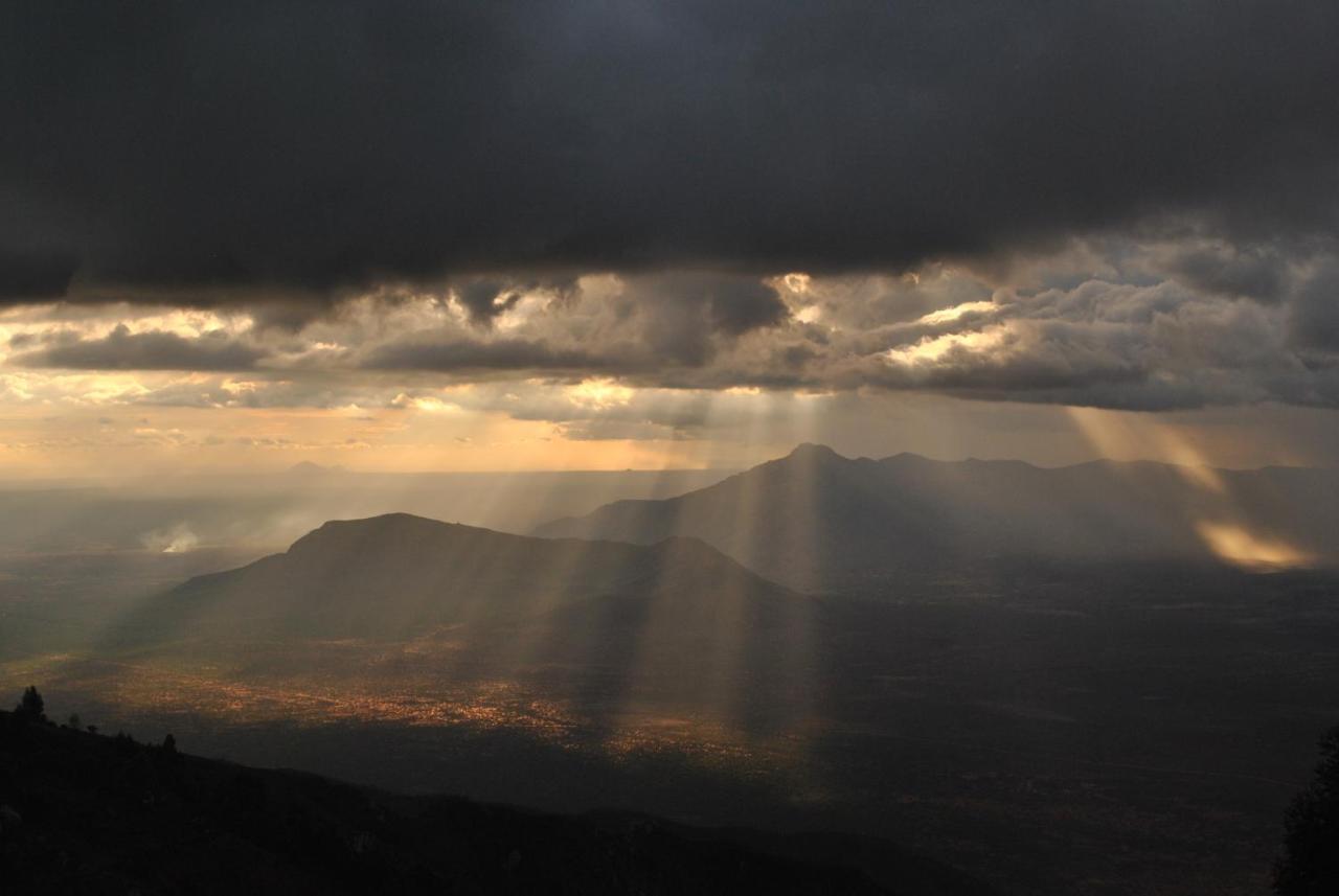 Willa Mambo View Point Ndungu Zewnętrze zdjęcie